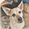 harleypaws.store - Home
